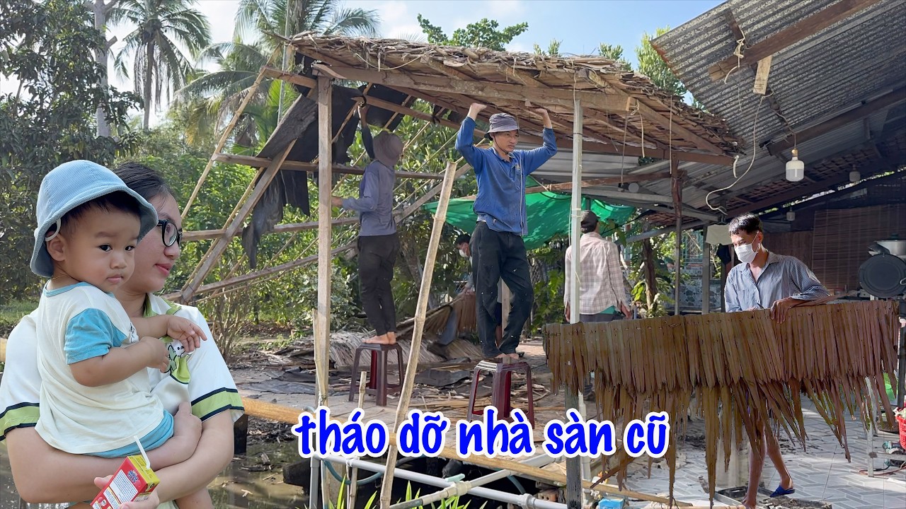 Quá Trình Làm Khu Vui Chơi Cho Panda | Tháo Dỡ Nhà Sàn Cũ, Khung Sàn Mới Rộng Hơn Dần Lộ Diện