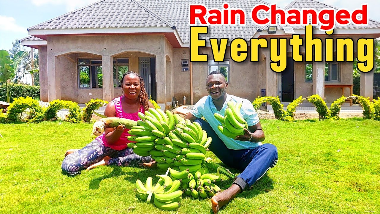 Unbelievable Rainy Day Harvest🌧️Massive Kitchen Garden Bounty &Stunning Home Makeover Transformation