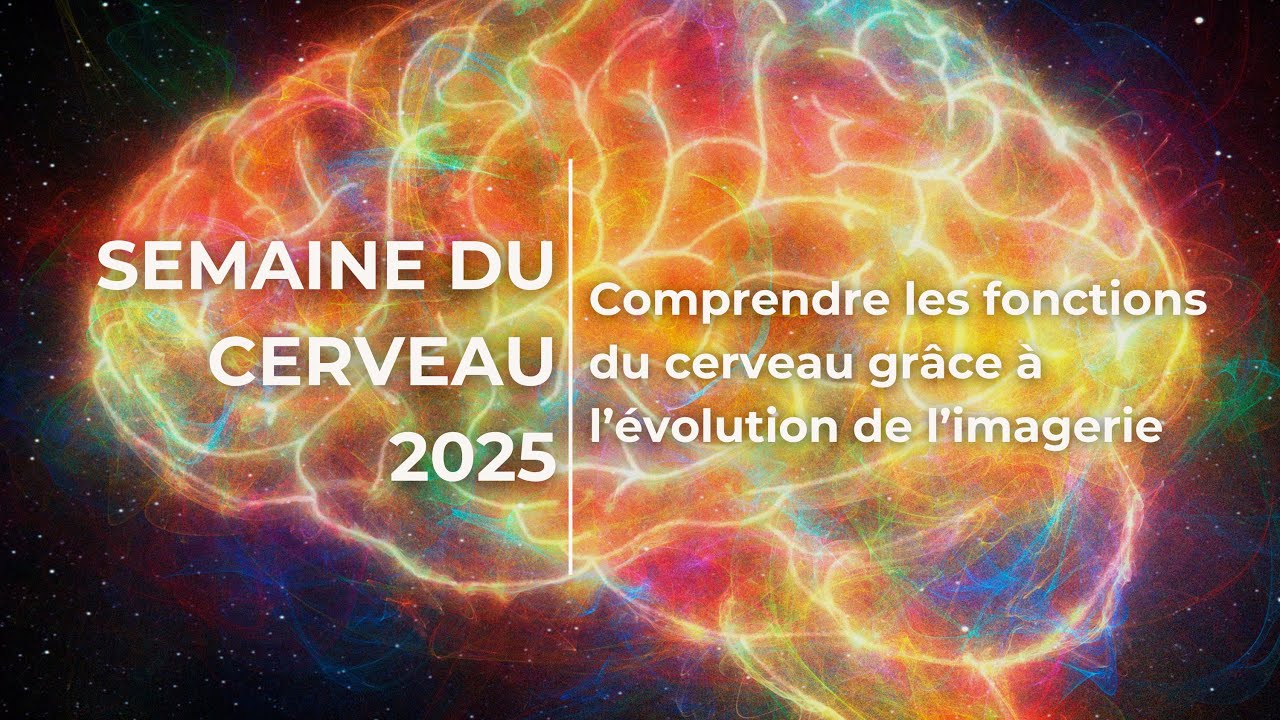 Semaine du Cerveau 2025 - Comprendre les fonctions du cerveau grâce à l’évolution de l’imagerie