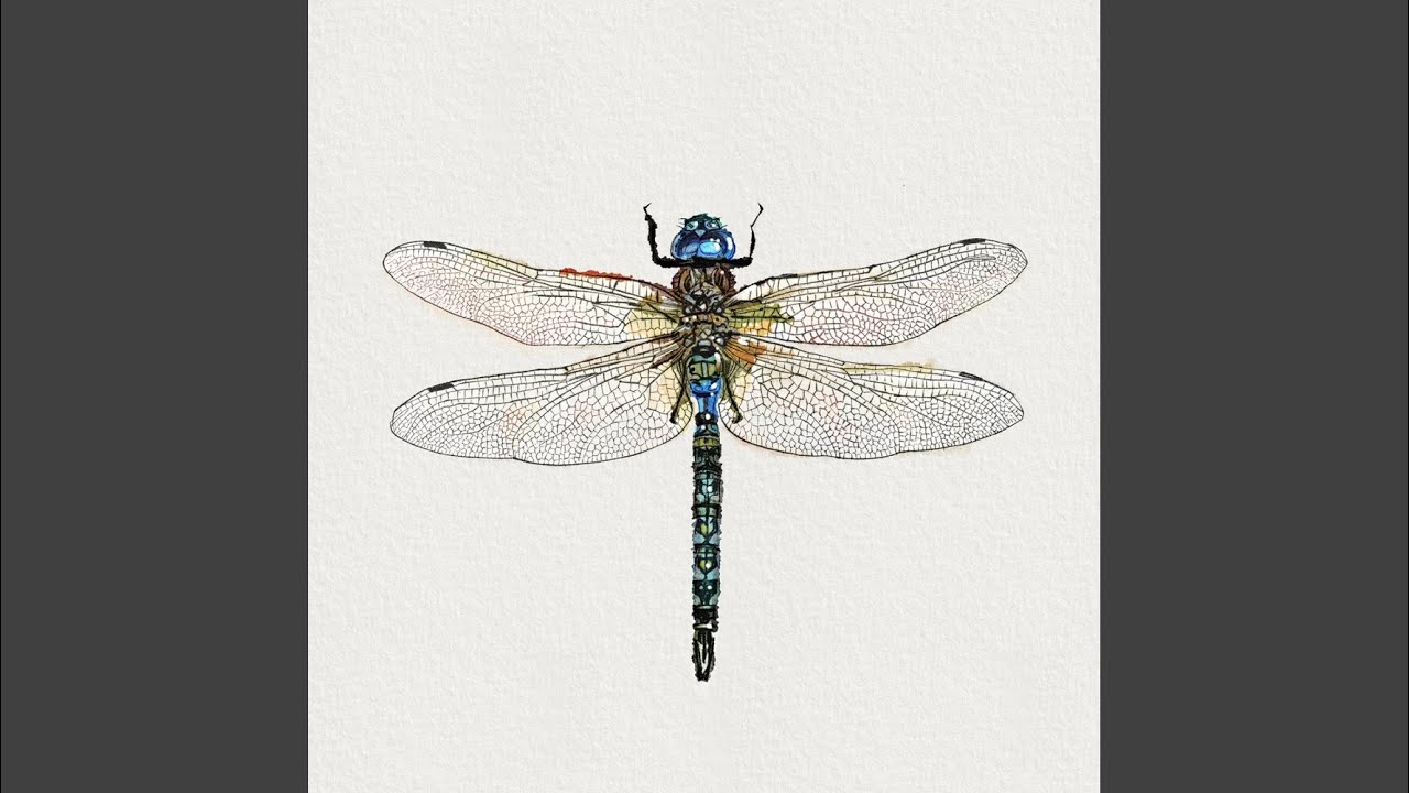 Dragonfly