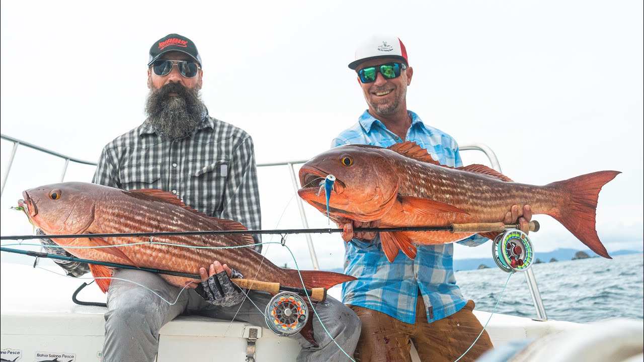 Fly fishing for monster Mullet Snapper feeding on giant baitballs! The Documentary