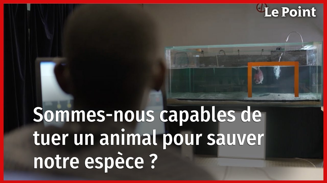 Sommes-nous capables de tuer un animal pour sauver notre esp&egrave;ce ?