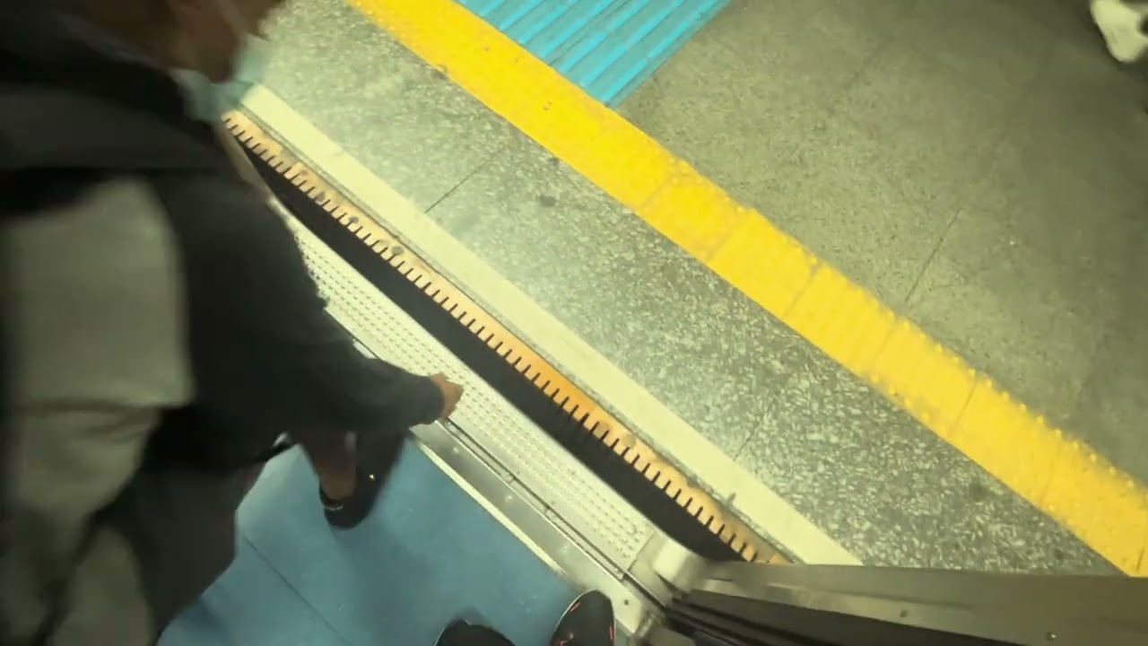 Metrô SP Trecho Entre Paraíso e Luz - Linha 1 Azul 