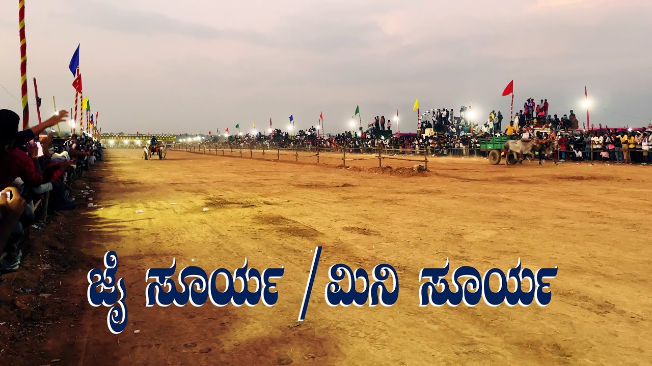 JAI SURYA vs MINI SURYA Hallikar Bulls Category Bangalore Race