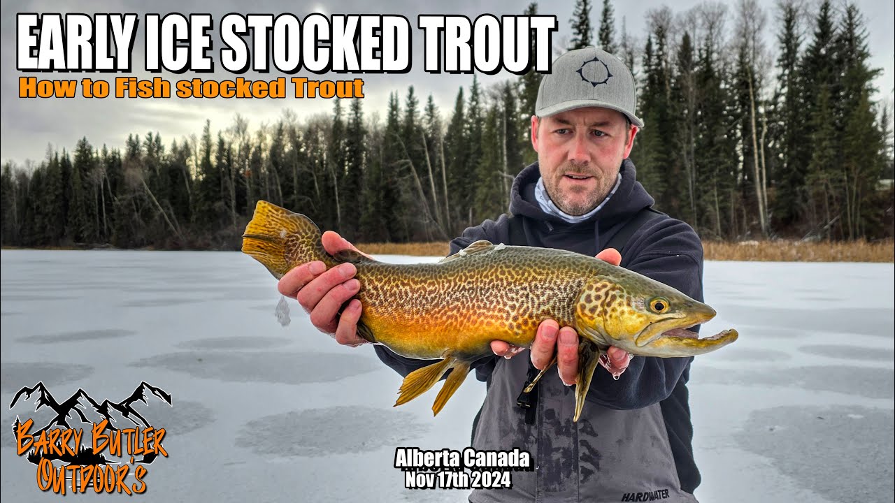 EARLY ICE STOCKED  TROUT - How to catch stocked trout thru the ice !