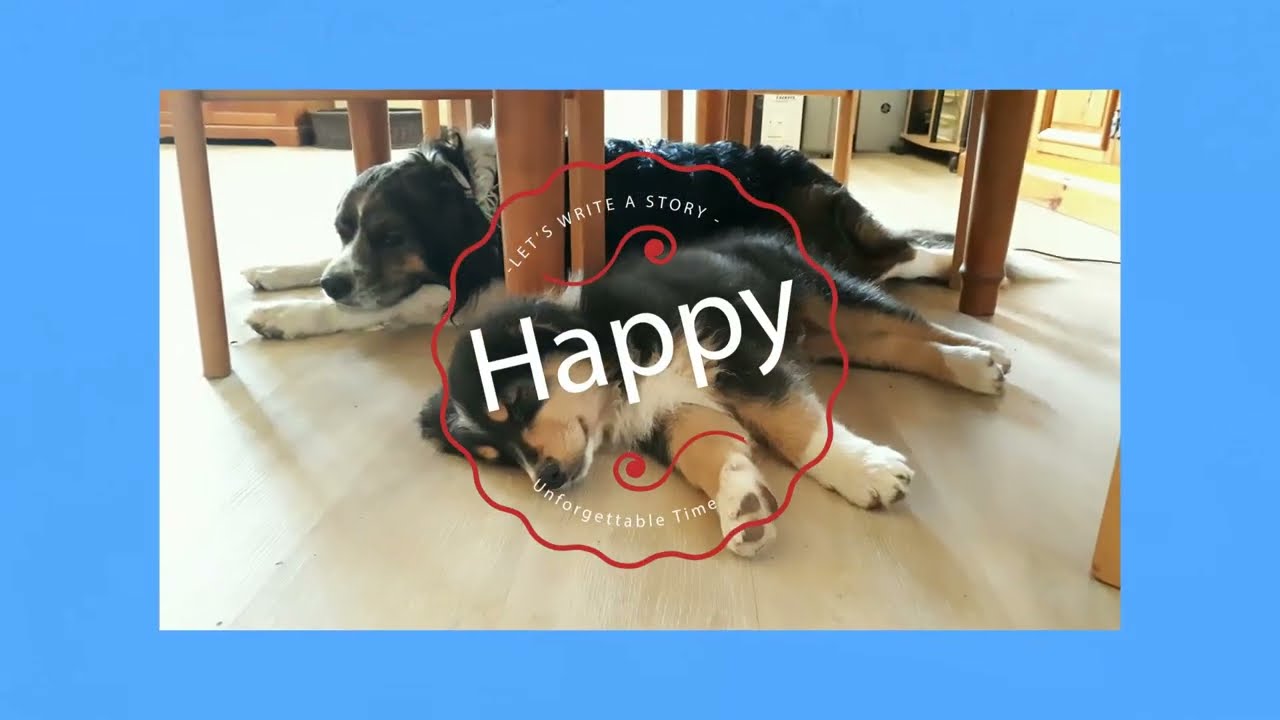 Une vie 2 chiens (Version longue)