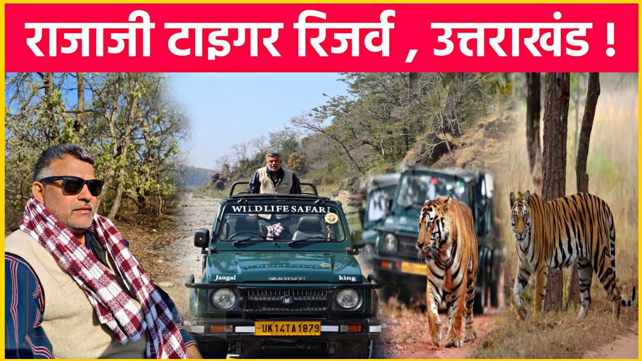 जंगल में घुसते ही वह निकला बाहर; राजाजी टाइगर रिजर्व भाग-1 Raja Ji National Park | Uttarakhand
