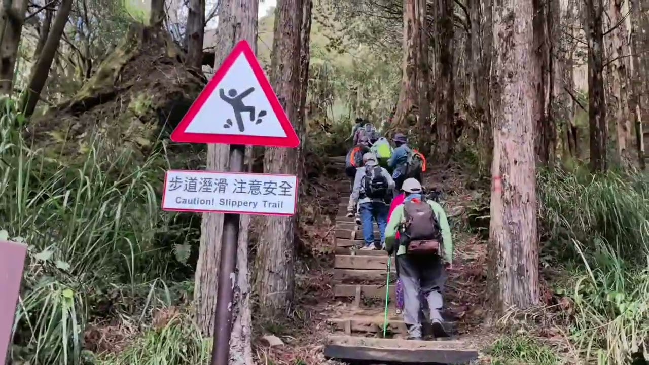 2026.1.25.阿里山 大塔山