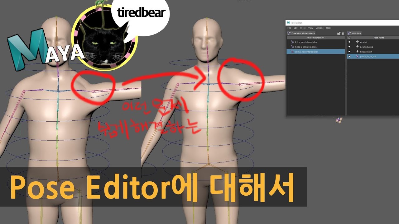 Maya Pose Editor에 대해서