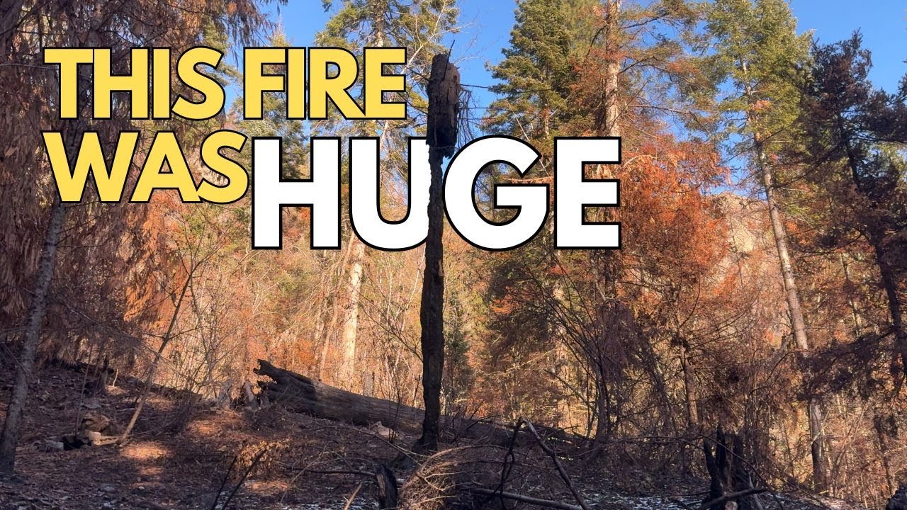 Winter Hiking in Idaho's Burn Scar | Snowy Maiden Creek Trail Adventure