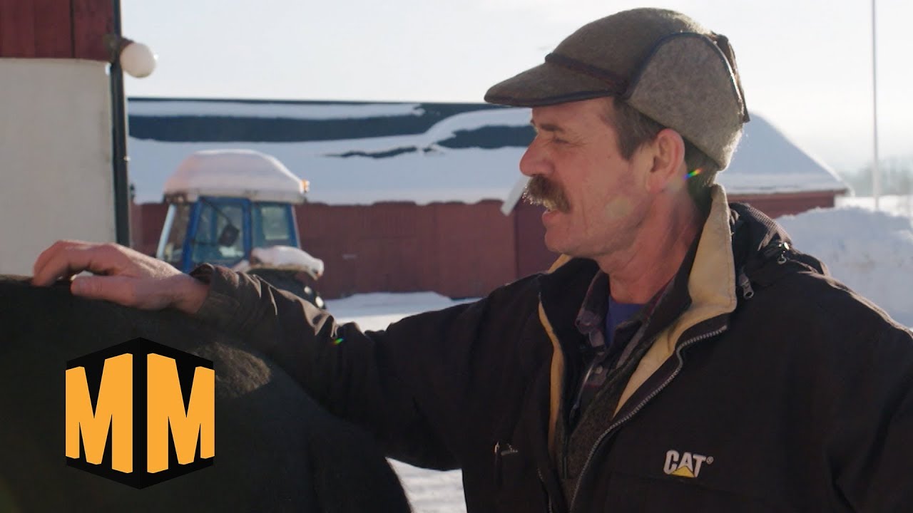 Er det greit å skyte ulv? | Martin og Mikkelsen S2E14