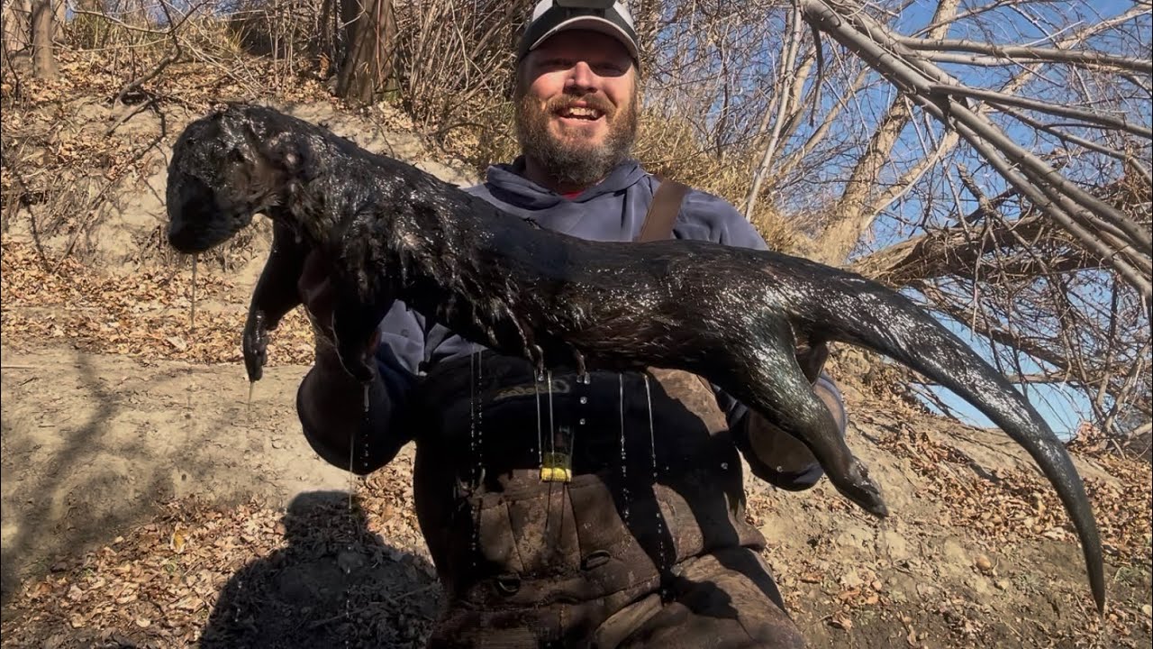 Mondo otter!  25-26 season ep.14 (Black Friday sale)