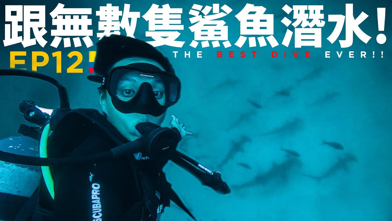 絕對是世上最棒的潛水地點!!🦈跟無數隻鯊魚海獅共潛 | 加拉巴哥群島潛水 Scuba Diving Galapagos Island Gordon Rock | 88日中南美EP12