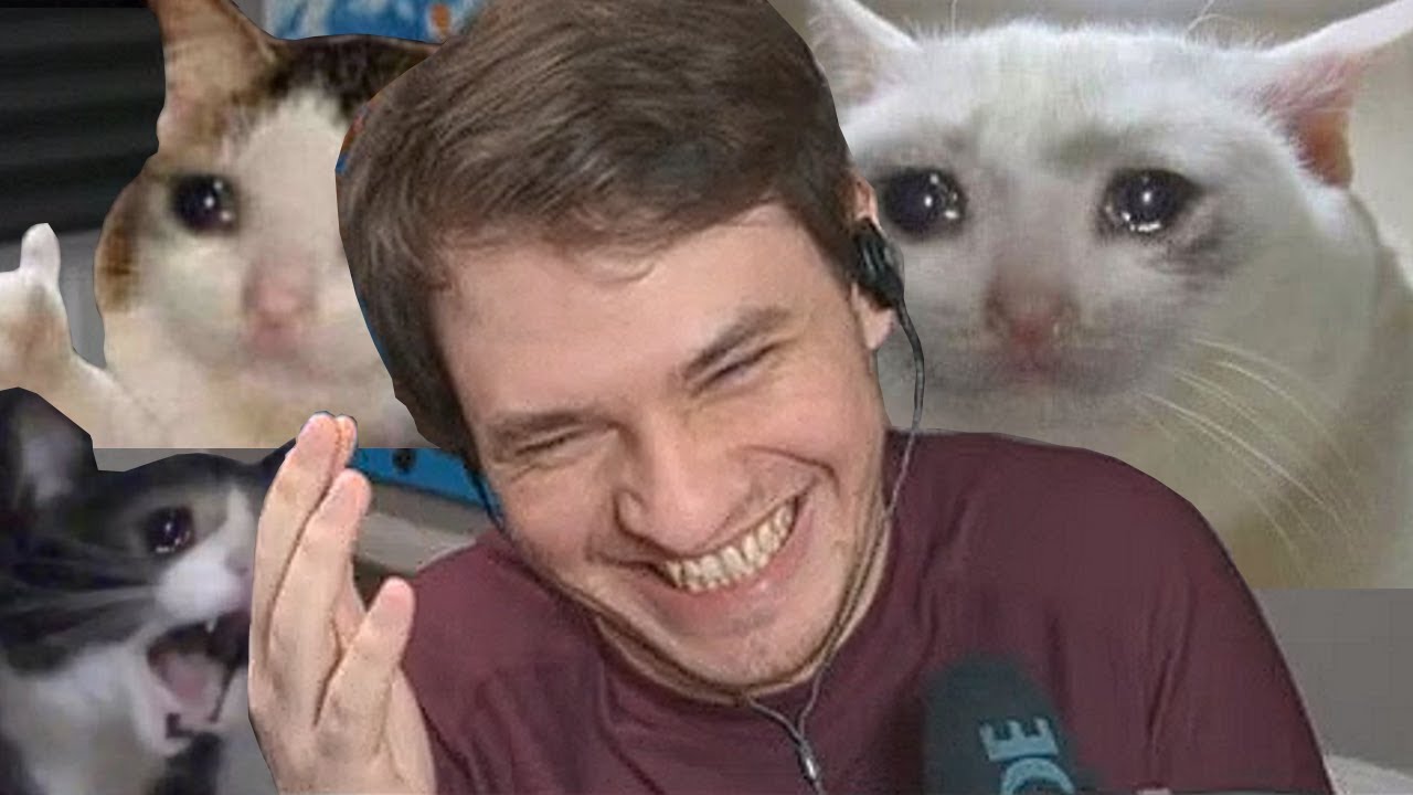 Don't introduce your cat to Neo