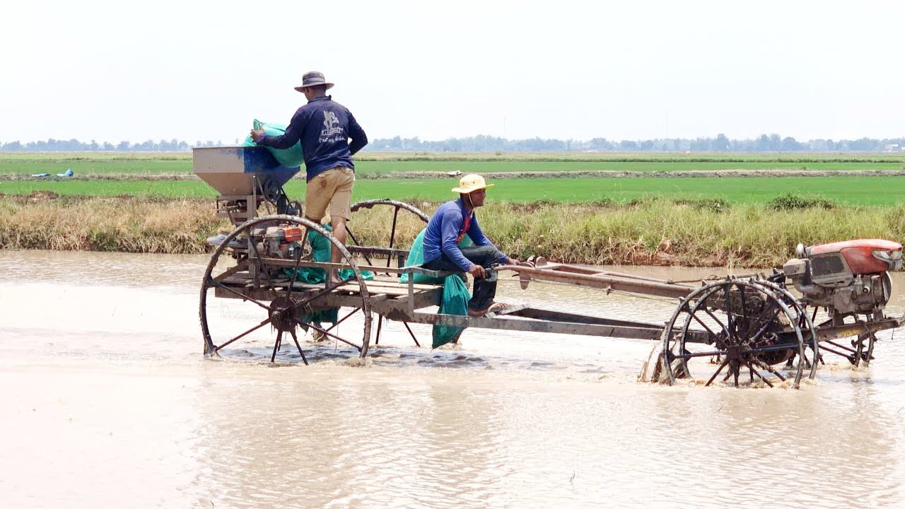 បងប្អូនធីមសេះមាស🐴✅ខាងខេត្តកំពង់ធំចាប់ផ្តើមចុះសាបព្រួសវគ្គថ្មីទៀតហើយ