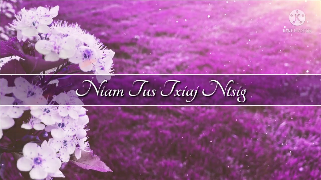Niam Tus Txiaj Ntsig - Maa Vue (Lyrics)