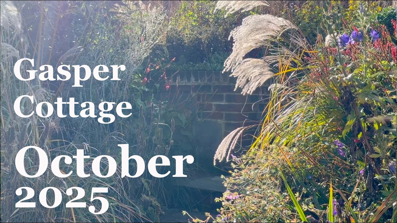 Blast of colour in the Autumn cottage garden