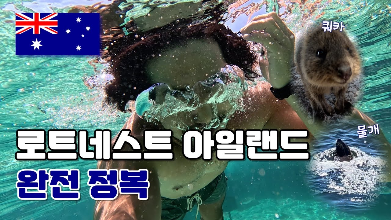 [로트네스트] 여기가 천국. 로트네스트 아일랜드 완전정복. 서호주/로트네스트아일랜드/물개/쿼카 - 🇦🇺호주(61)