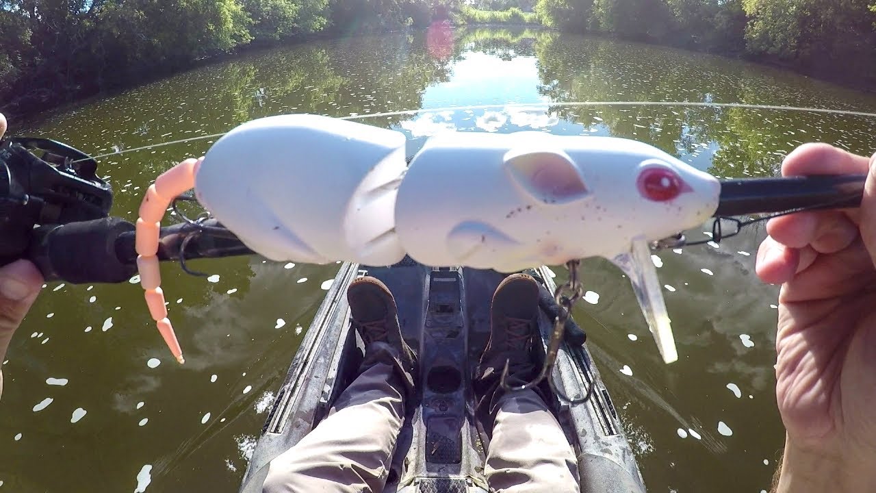 Fishing A Big Rat Lure For River Beasts!