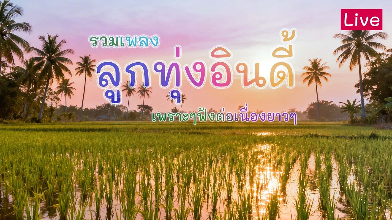 รวมเพลงลูกทุ่งเพราะๆ  ฟังยาวๆ ฟังวันหยุด ฟังตอนทำงาน  ฟังก่อนนอน