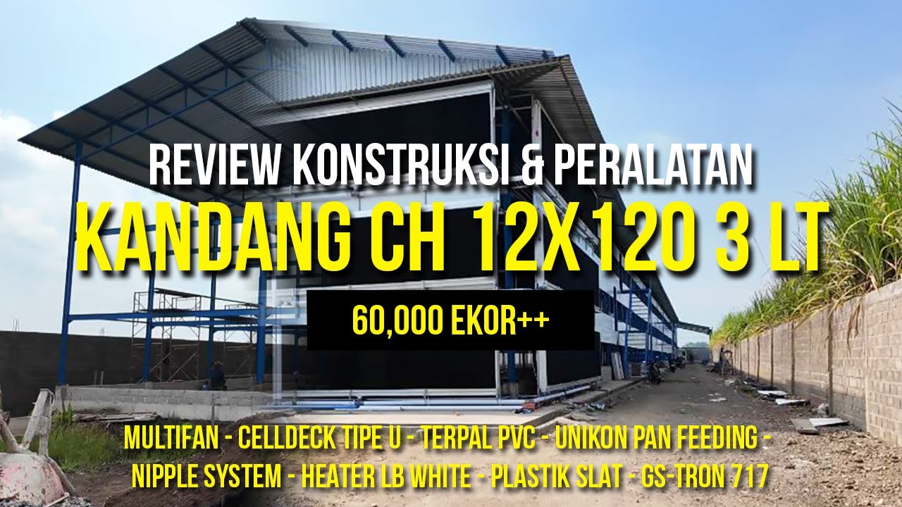 Kandang Mewah dari Jombang - 12x120 3 lantai FULL SLAT - Review Konstruksi dan Instalasi Peralatan