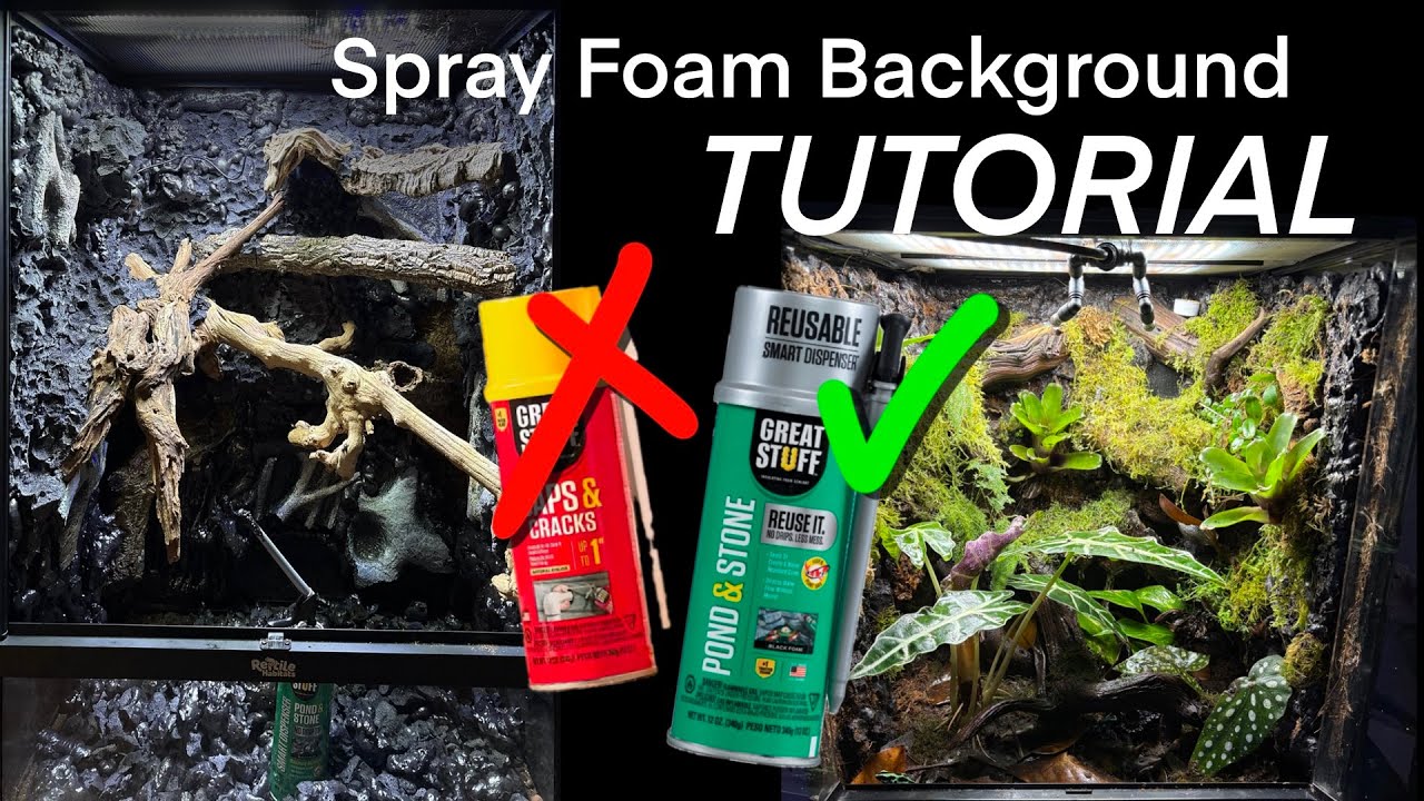 How to make a custom vivarium background! (Spray foam + silicone method)