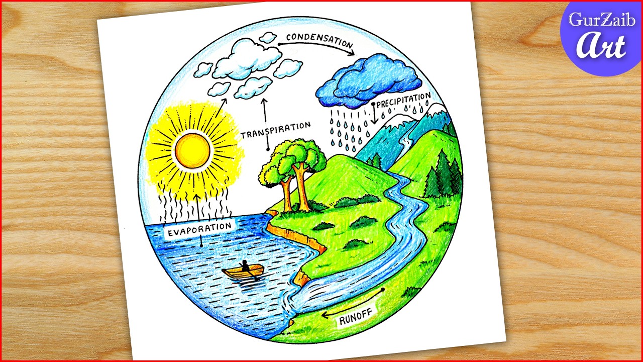 Water Cycle Drawing / water cycle labelled diagram / chart project making easy