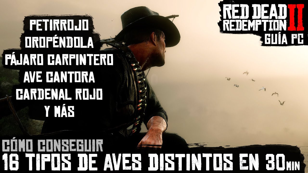 ✔ Red Dead Redemption 2 [PC] Cómo conseguir 16 tipos de aves distintos en menos de 30 minutos