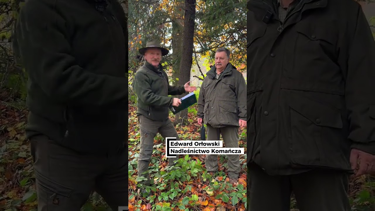 📜 Śladami historii w Nadleśnictwie Komańcza 🌲