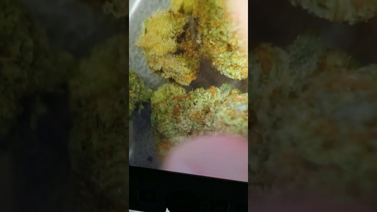 Strain Review Power Plant