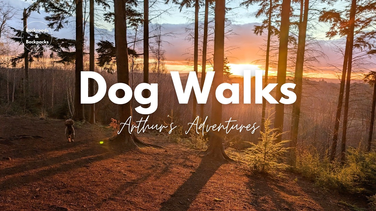 Arthur's Adventures 🐾 | Relaxing Walks in the English Countryside with our Cockapoo (Ep.1)