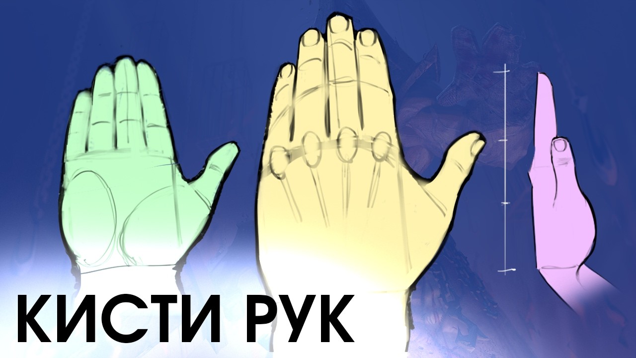 👌 Как рисовать кисти рук ПРАВИЛЬНО! 1 урок: «Основные пропорции кистей»