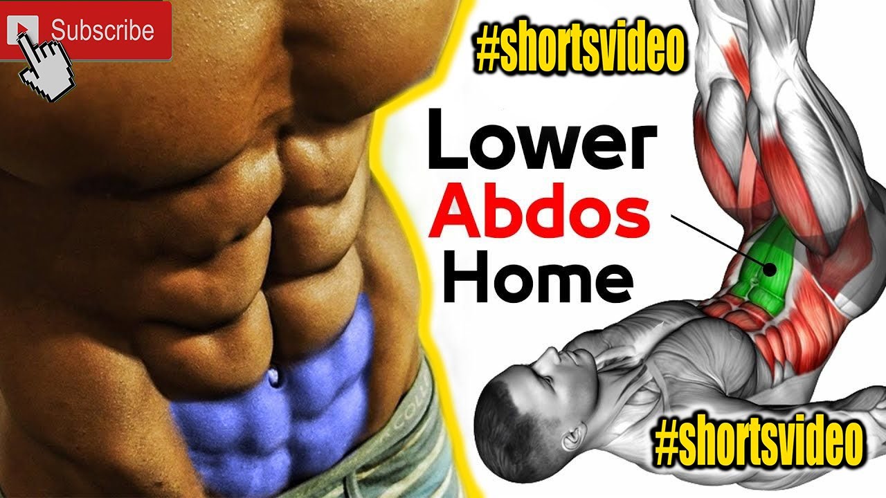 LES Meilleurs Exercices Pour Les Muscles Abdominaux