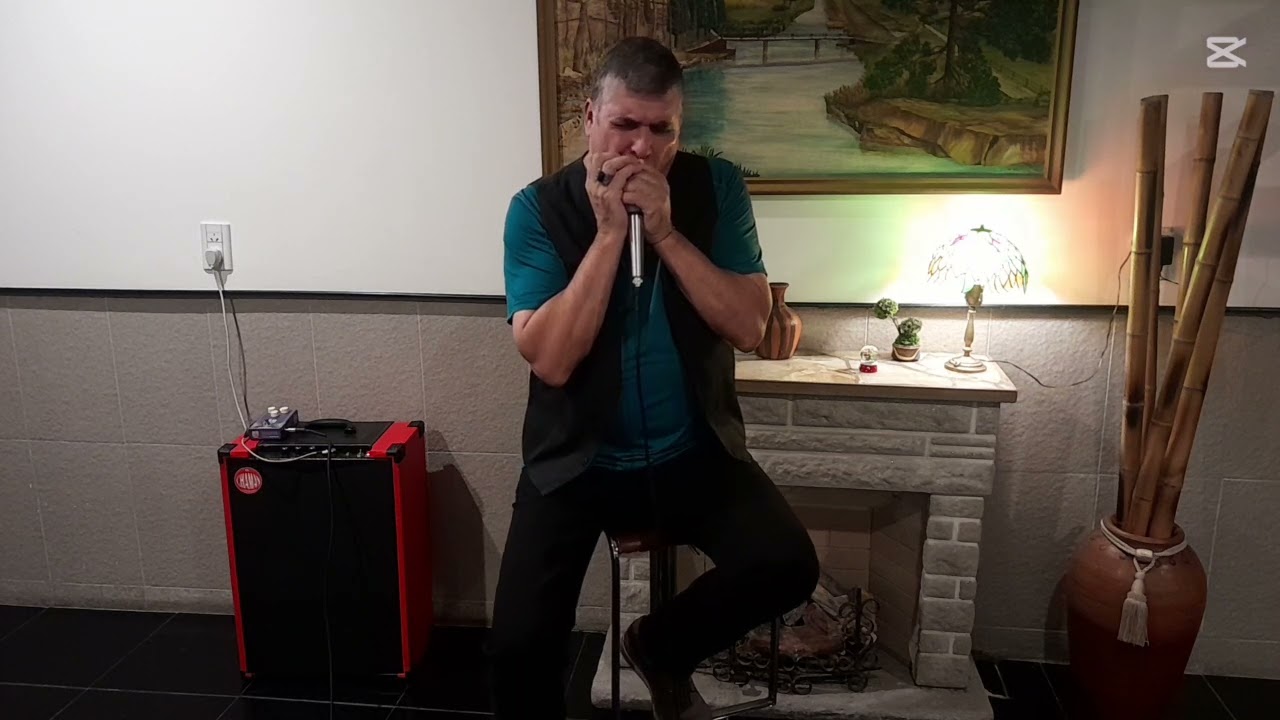 Sad Hours - Little Walter - Cover