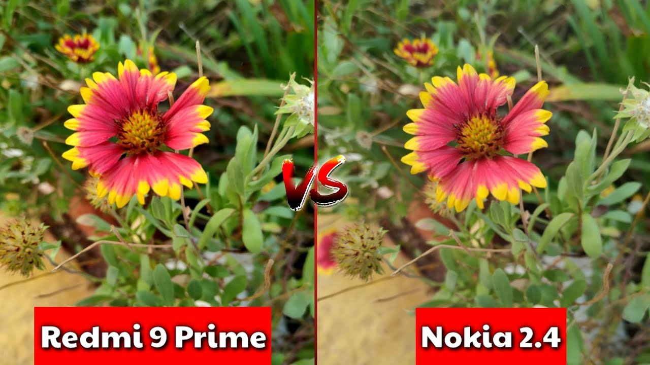 Nokia 2.4 VS Redmi 9 Prime Camera Comparison | Nokia 2.4 Camera Review | Redmi 9 Prime Camera Review