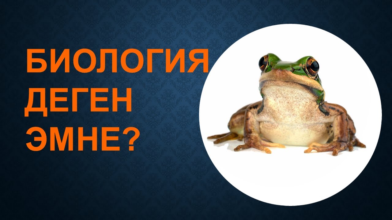БИОЛОГИЯ деген эмне? / БИОЛОГИЯ эмнени окутат? / БИОЛОГИЯ кайсы предметтер менен байланышкан?