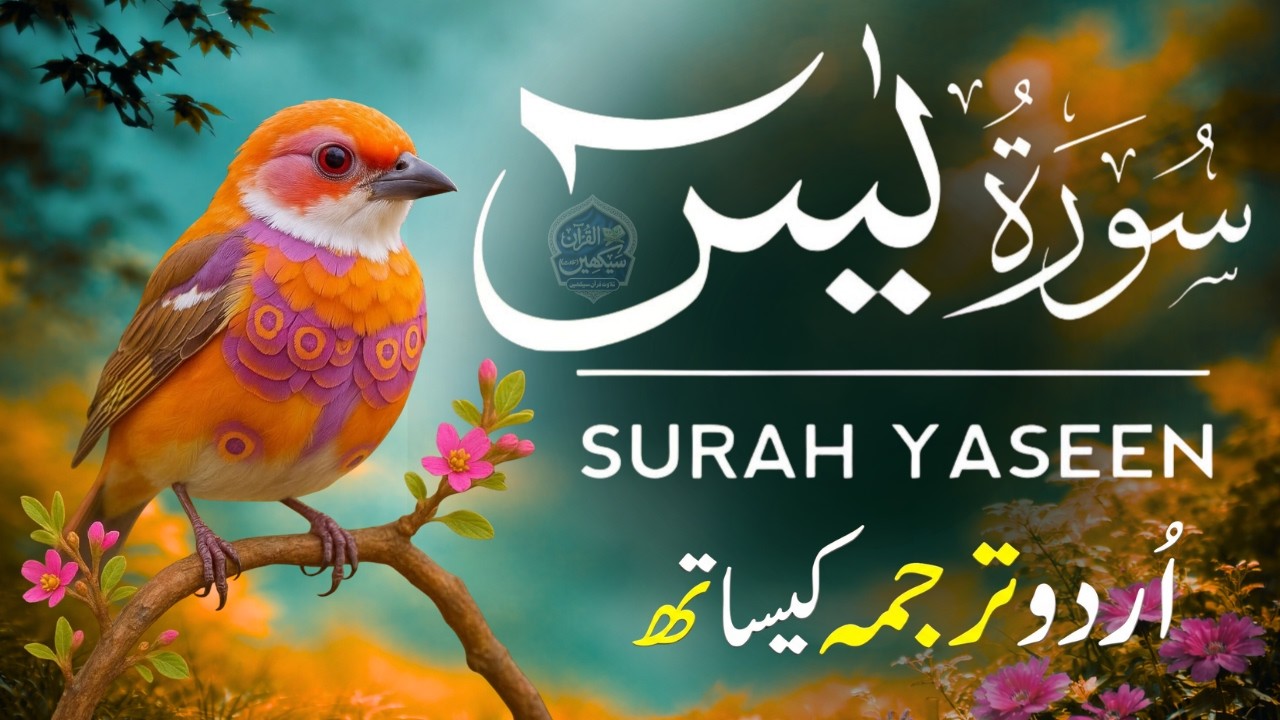 Surah Yaseen with Urdu Translation | Emotional Recitation by Qari Mansoor Ghaznavi | Ep005