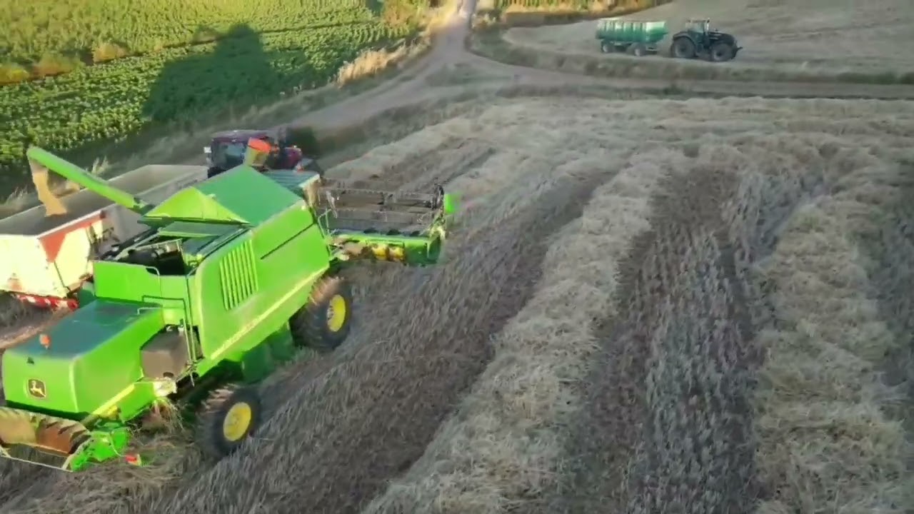 John Deere 9560i cosechando centenos en Cuevas de Amaya 2025.