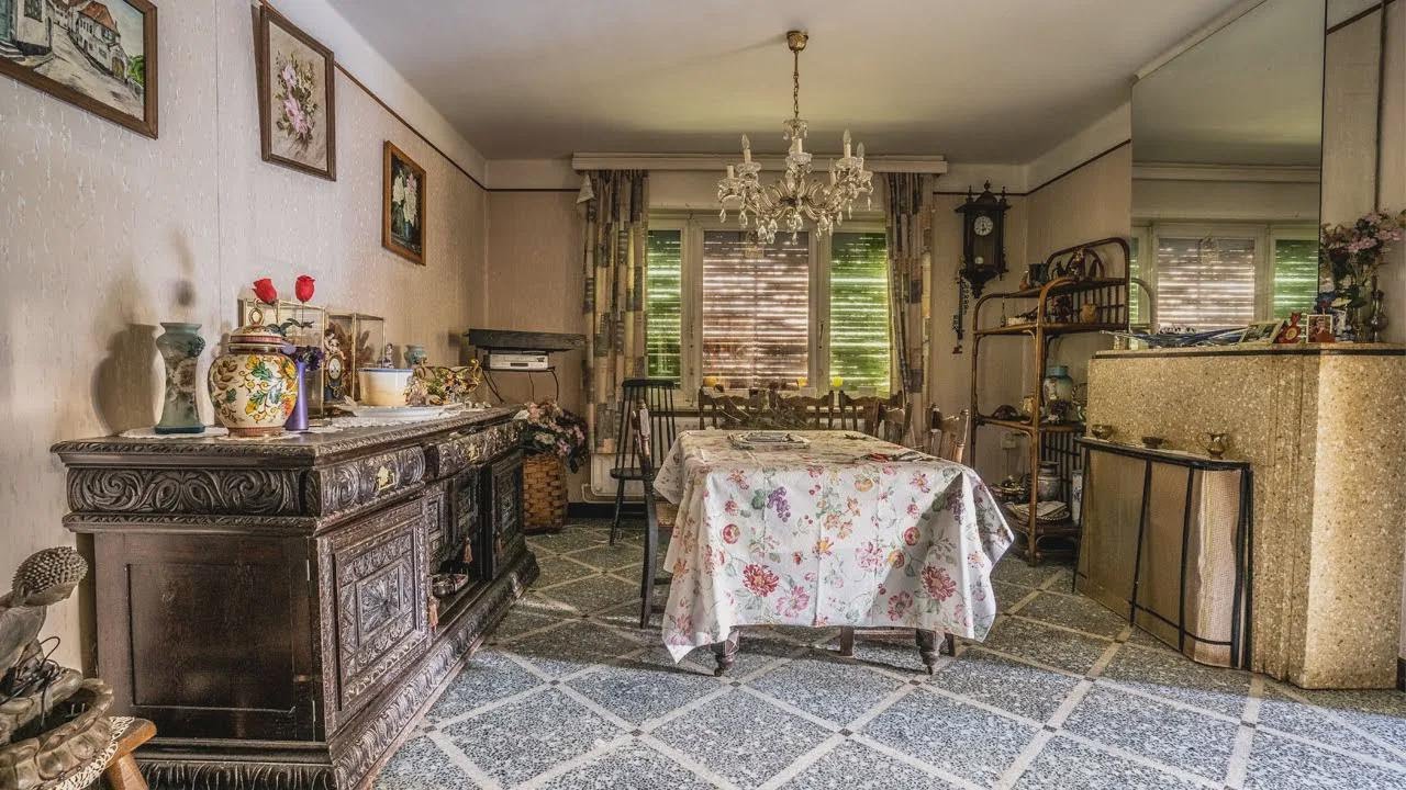 História Triste: Casa Abandonada da Senhora dos Gatos na Bélgica