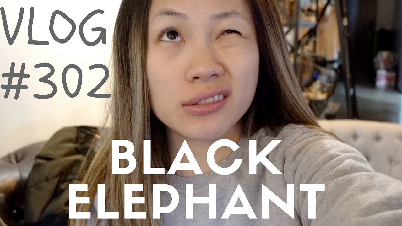 Black Elephant | Minnie&rsquo;s VLOG 302