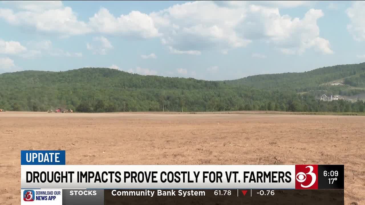 Vermont drought survey reveals $15.9 million in farm losses