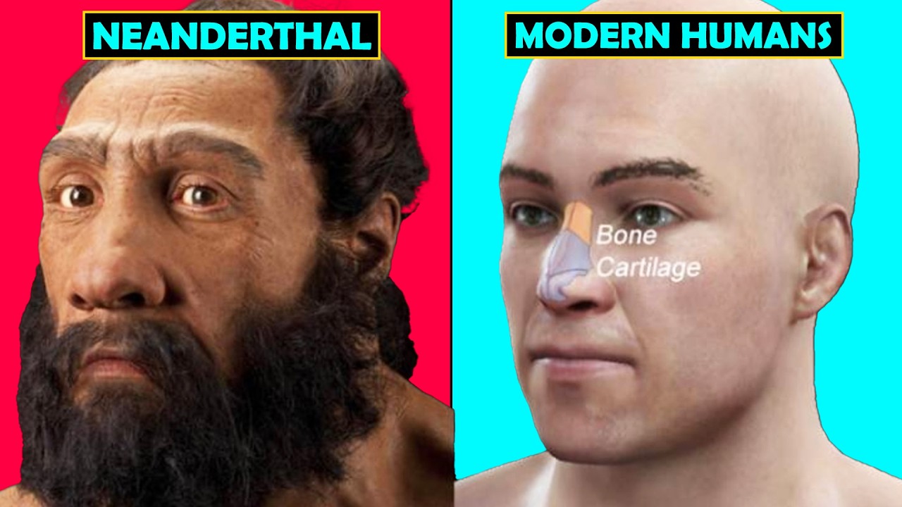 The HIDDEN Neanderthal Traits in Modern Humans...