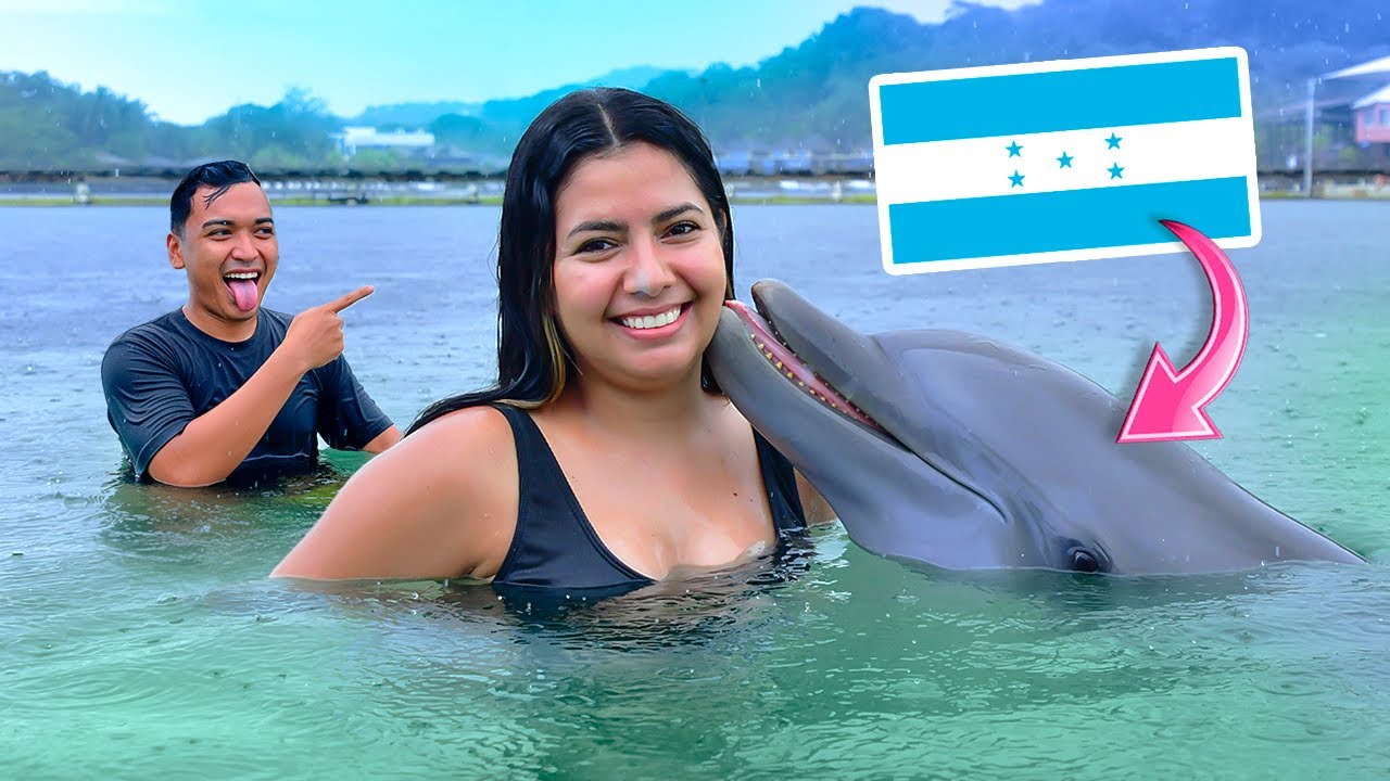 NADANDO CON DELFINES EN ROATAN