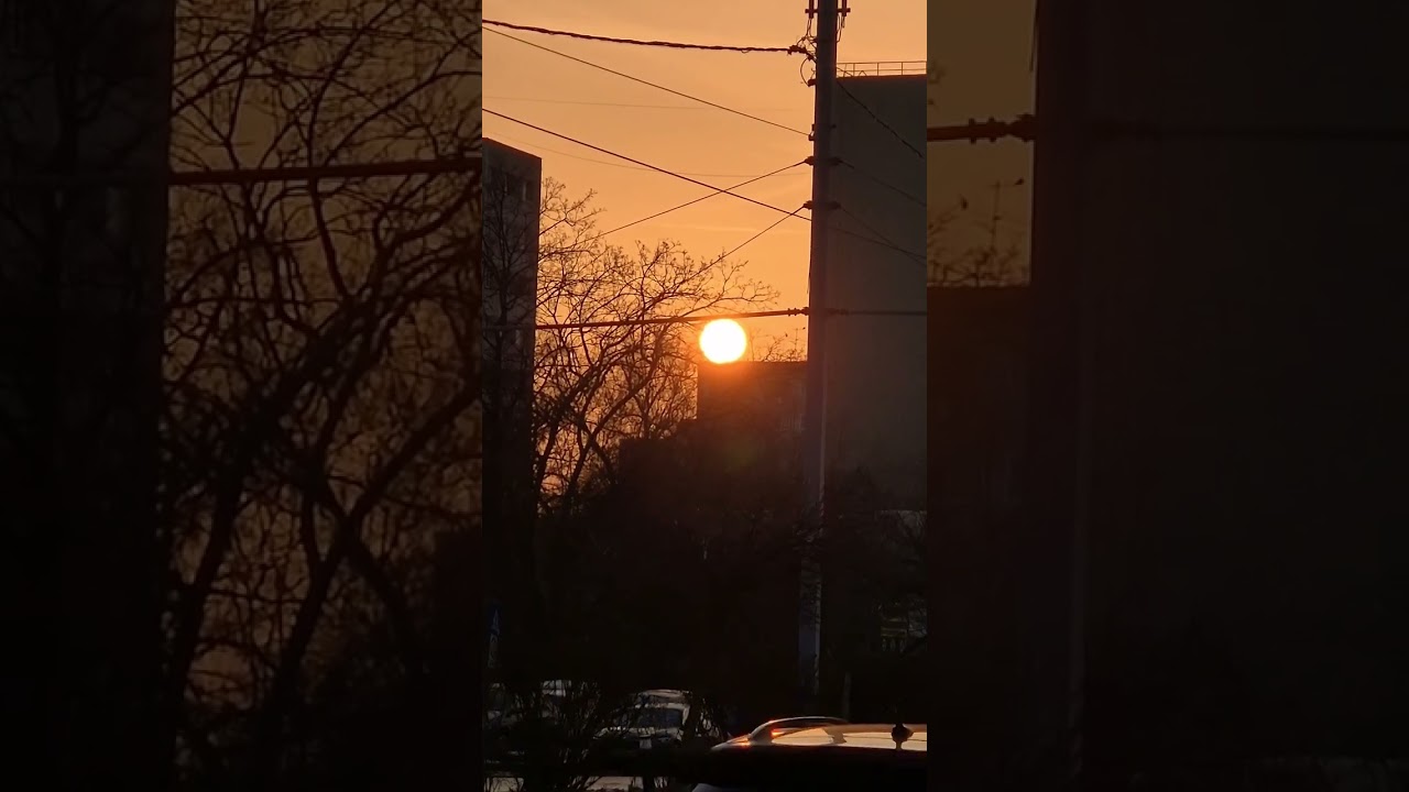 Sun gazing during the golden hour 