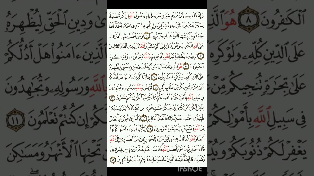 ١٧ فبراير ٢٠٢٦