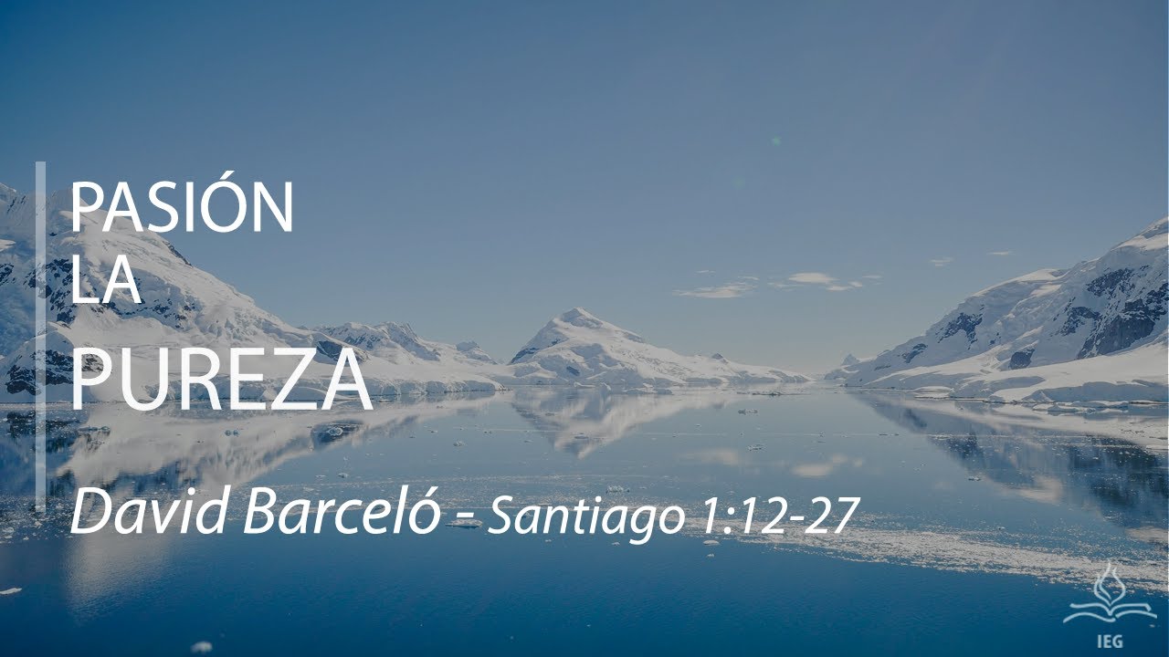 6. Pasión por la Pureza - David Barceló