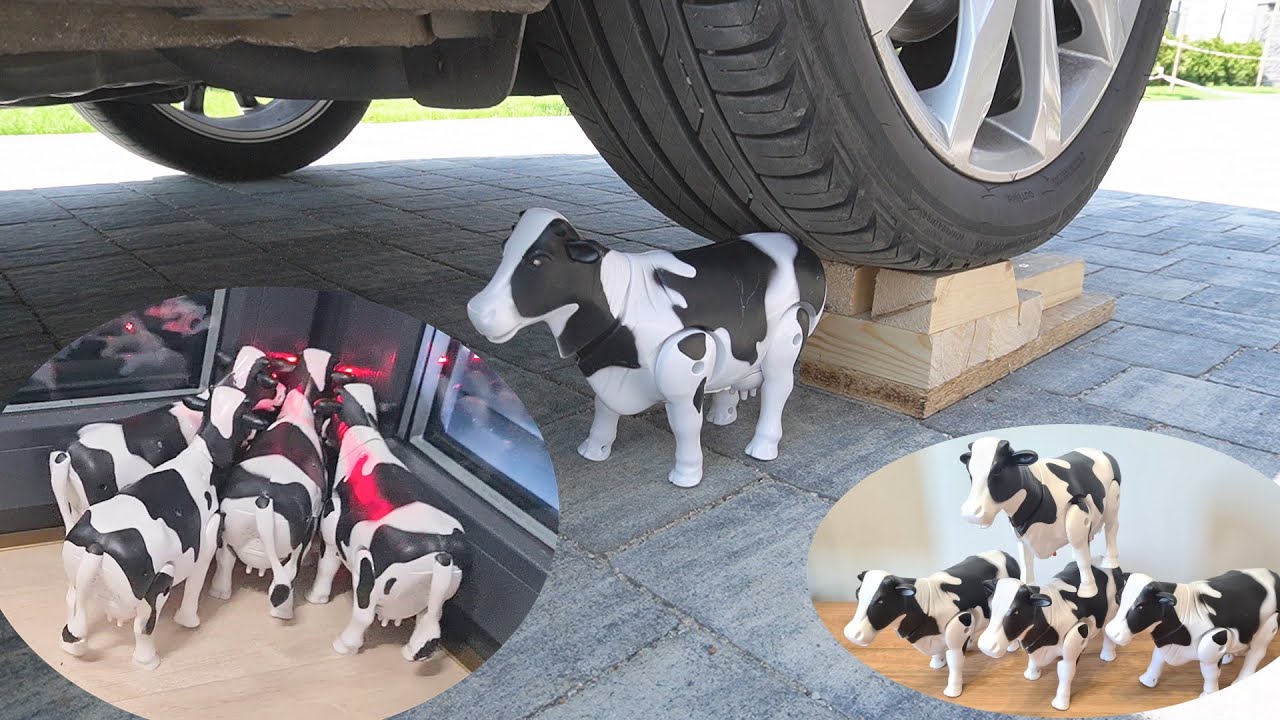 Four Cows vs Car - Crushing Crunchy & Soft Things by Auto - Experiment: Unpacking and Cow Test