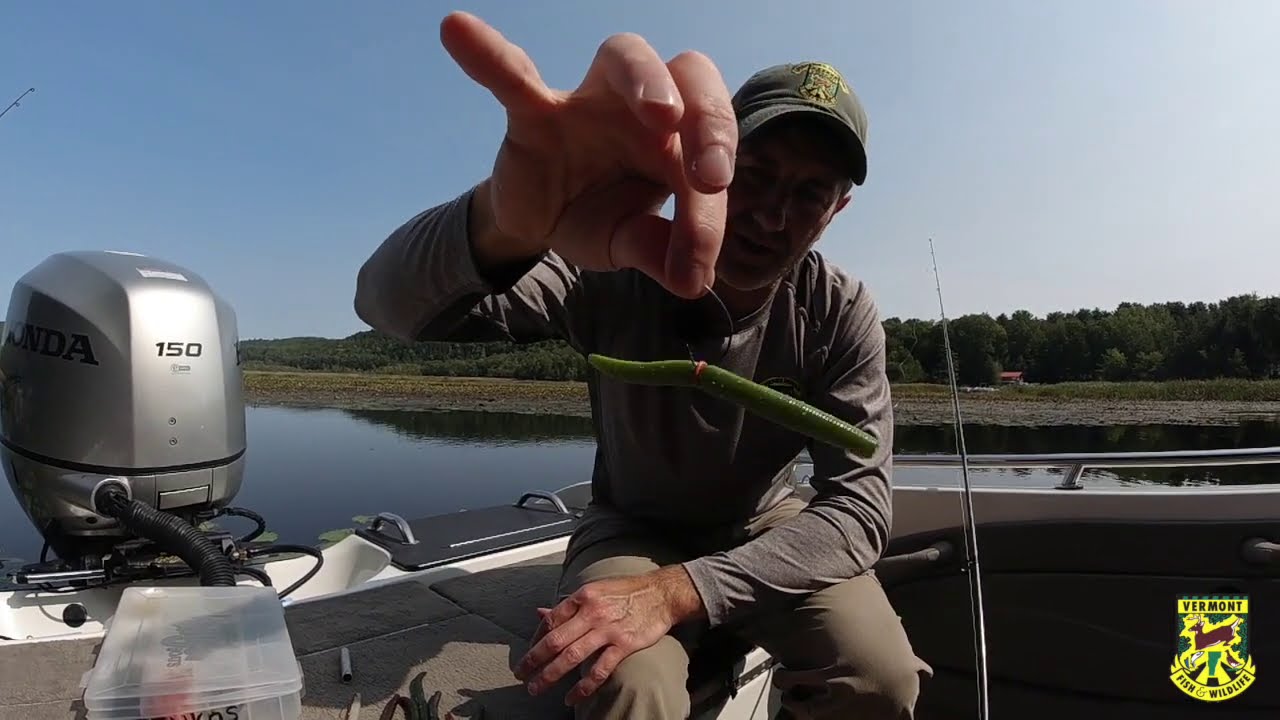 Wacky Rigging a Senko with an O-Ring, Fishing Lure Tutorial