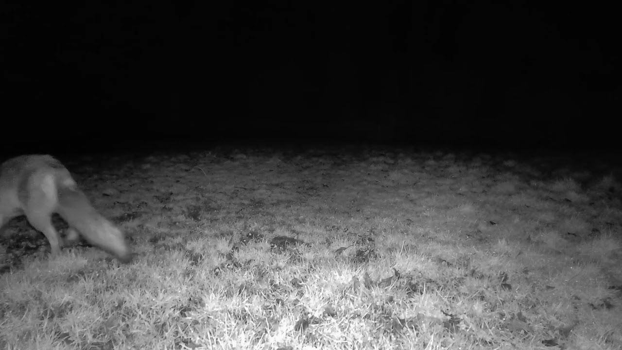 260207 22:02
