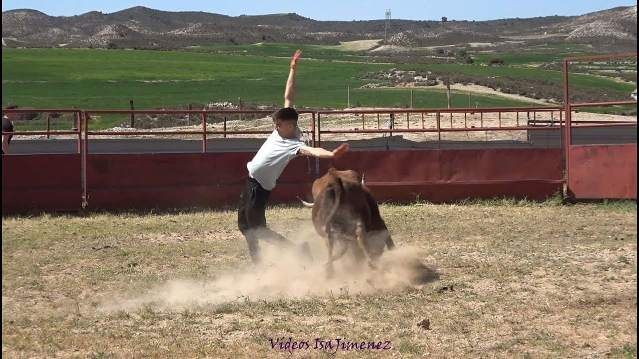 Capea Privada - Ganadería Jiménez Mora - Zuera (Zaragoza) - 24/03/2024 - HD